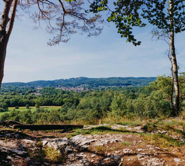 Aussicht von den Sachsensteinklippen auf Bad Sachsa
