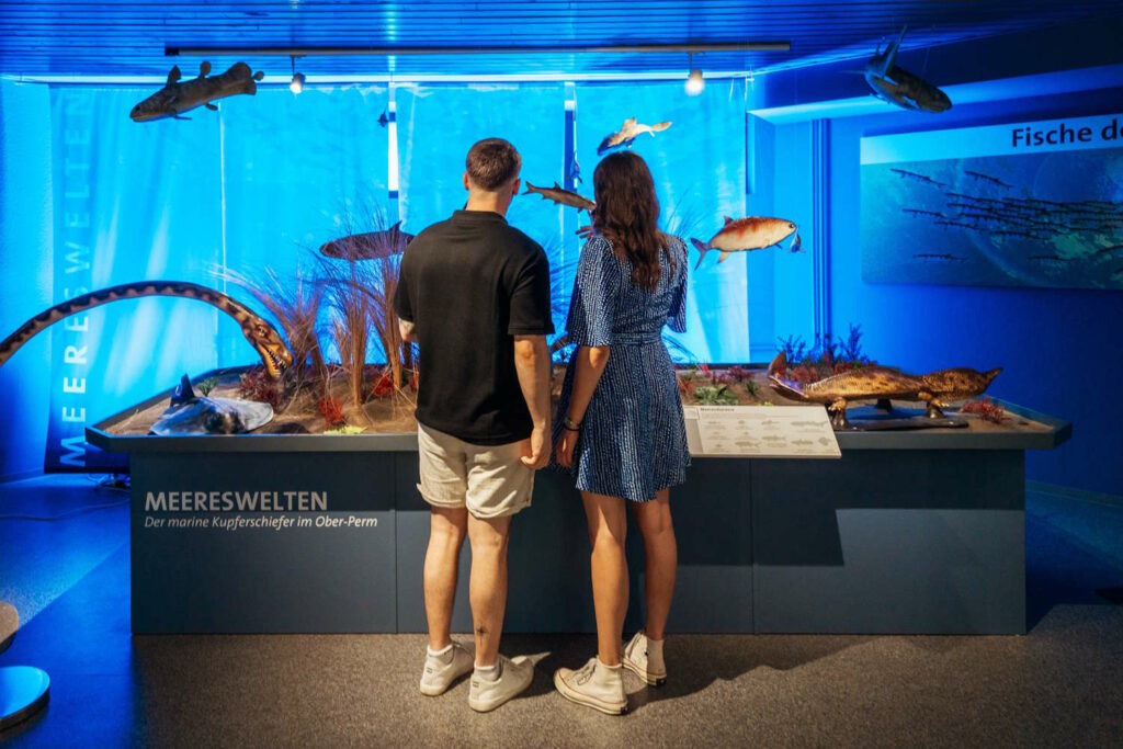 Paar schaut sich die Meereswelten im NatUrzeitmuseum an