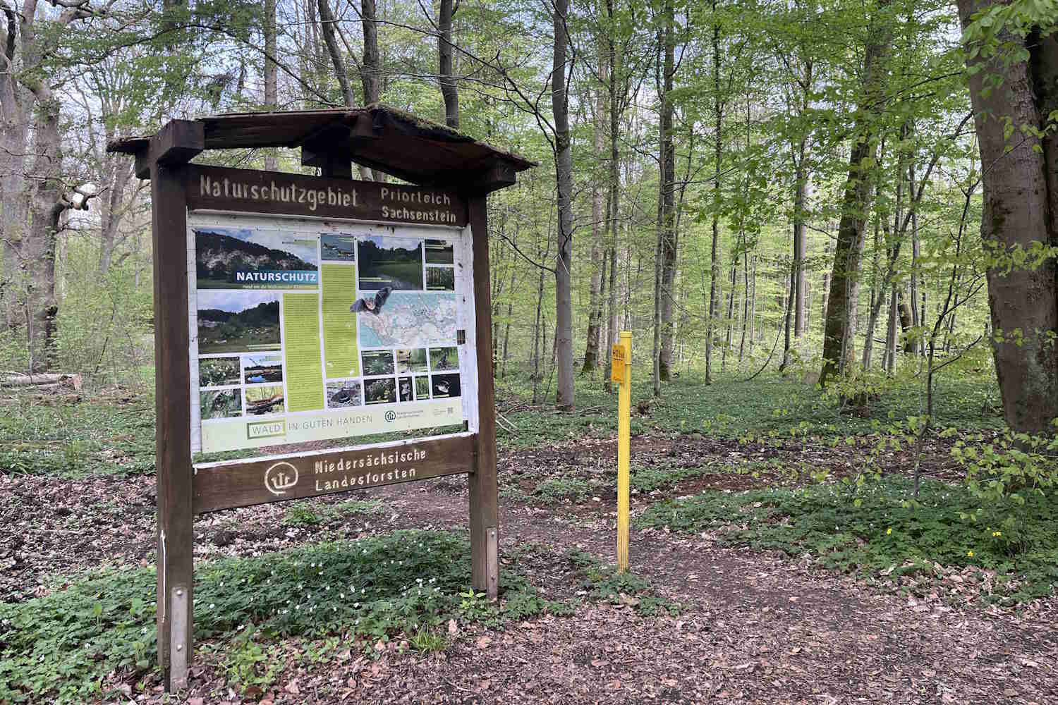 Naturschutzgebiet Priorteich