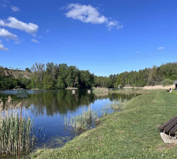 Bank am Kranichteich in Neuhof