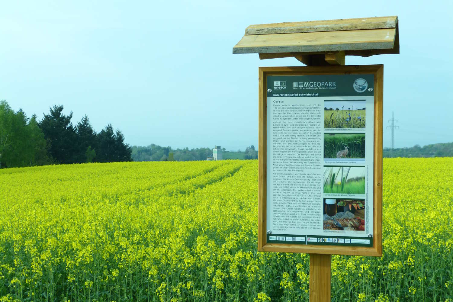 Lehrpfad Schwiebachtal