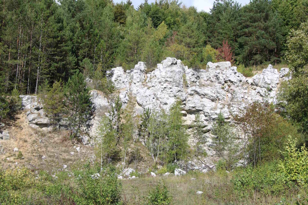 Felsformation der Karstlandschaft im Harz
