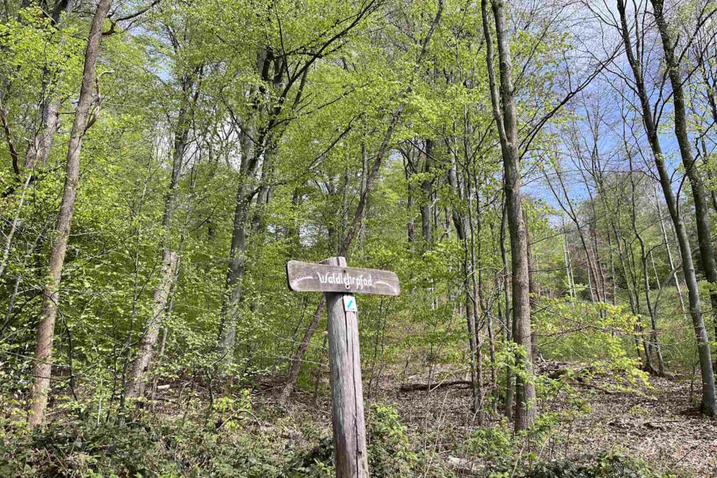 Schild auf dem Waldlehrpfad umgeben von Bäumen