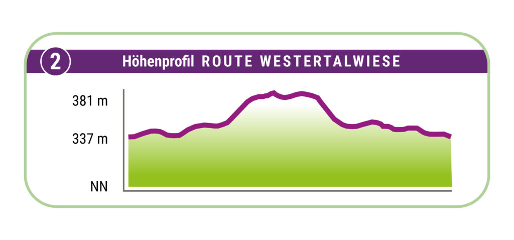 Terrainkurweg 2 Bad Sachsa Höhenprofil Westertalwiese