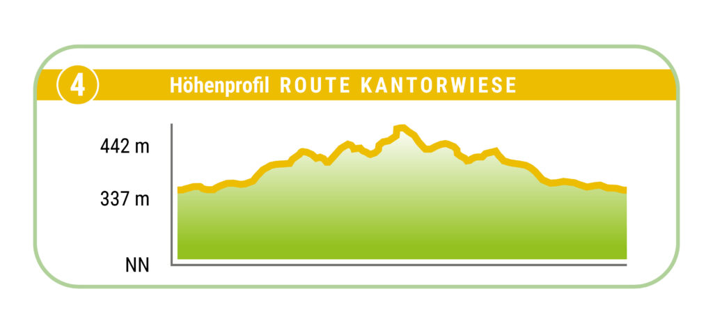 Terrainkurweg 4 Bad Sachsa Höhenprofil Route Kantorwiese