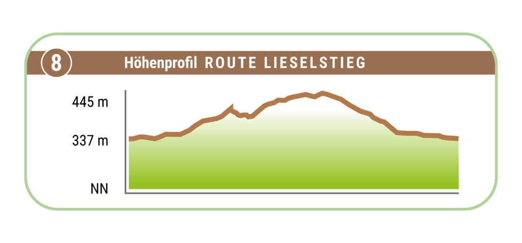 Terrainkurweg 8 Bad Sachsa Höhenprofil Route Lieselstieg