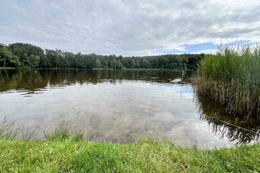 Das Ufer vom Priorteich in Walkenried