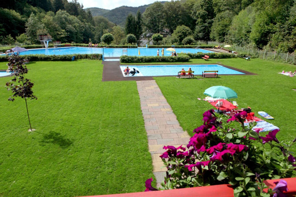 Waldschwimmbad Zorge mit Liegewiese und Blick in die Natur im Hintergrund.