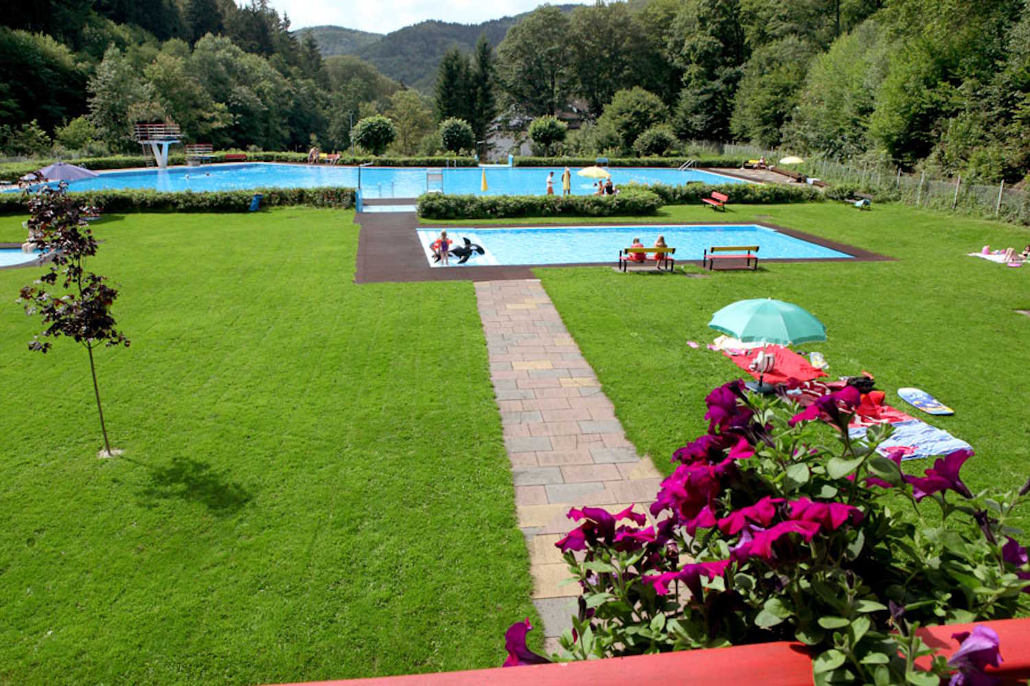 Waldschwimmbad Zorge mit Liegewiese und Blick in die Natur im Hintergrund.