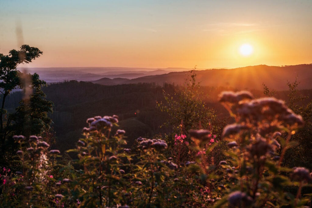 Landschaft Sonnenuntergang Ravensberg Bad Sachsa