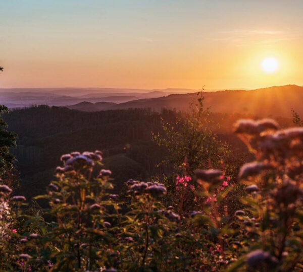 Landschaft Sonnenuntergang Ravensberg Bad Sachsa